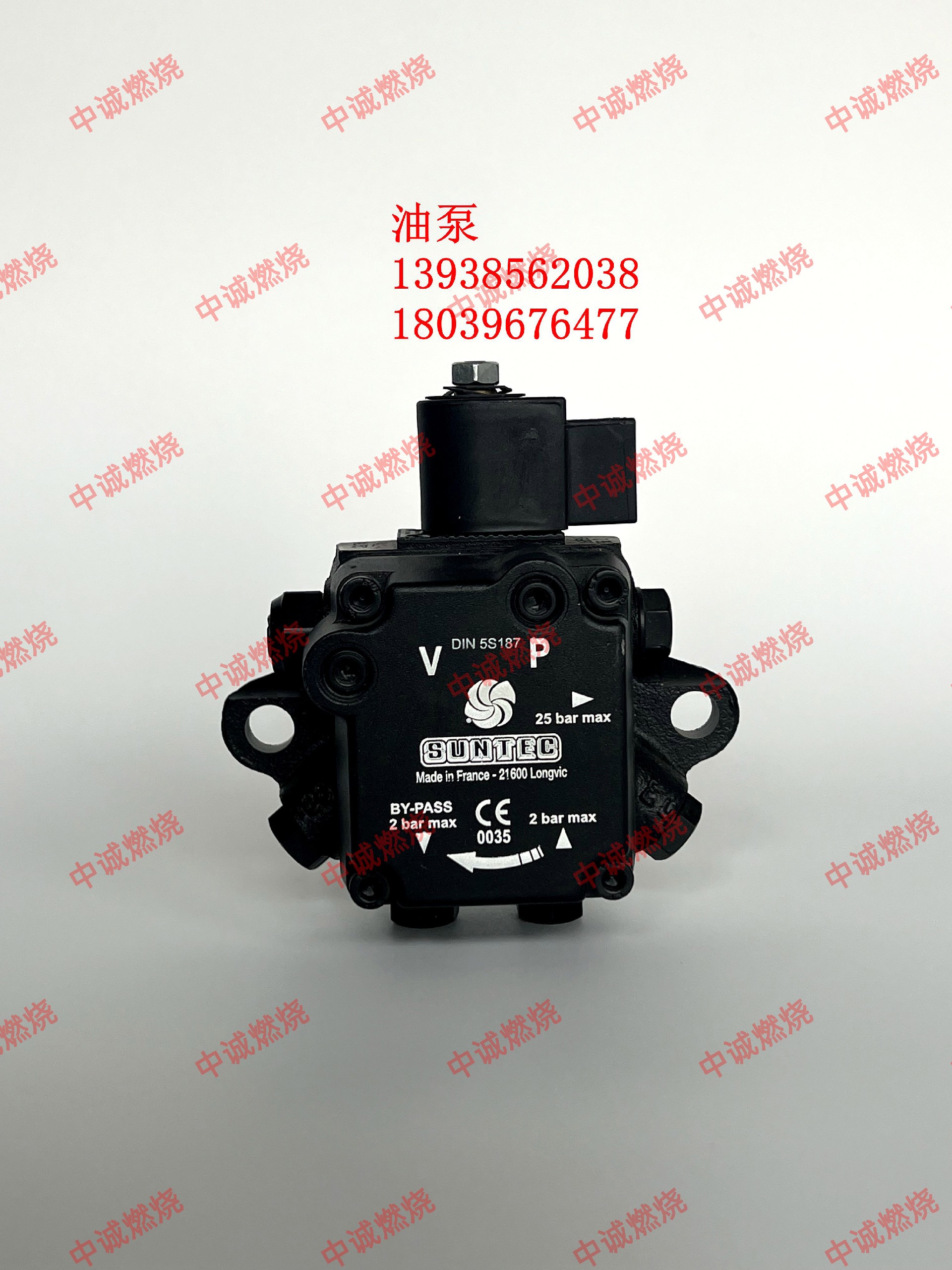 RL70油泵 桑泰克AL95C.jpg