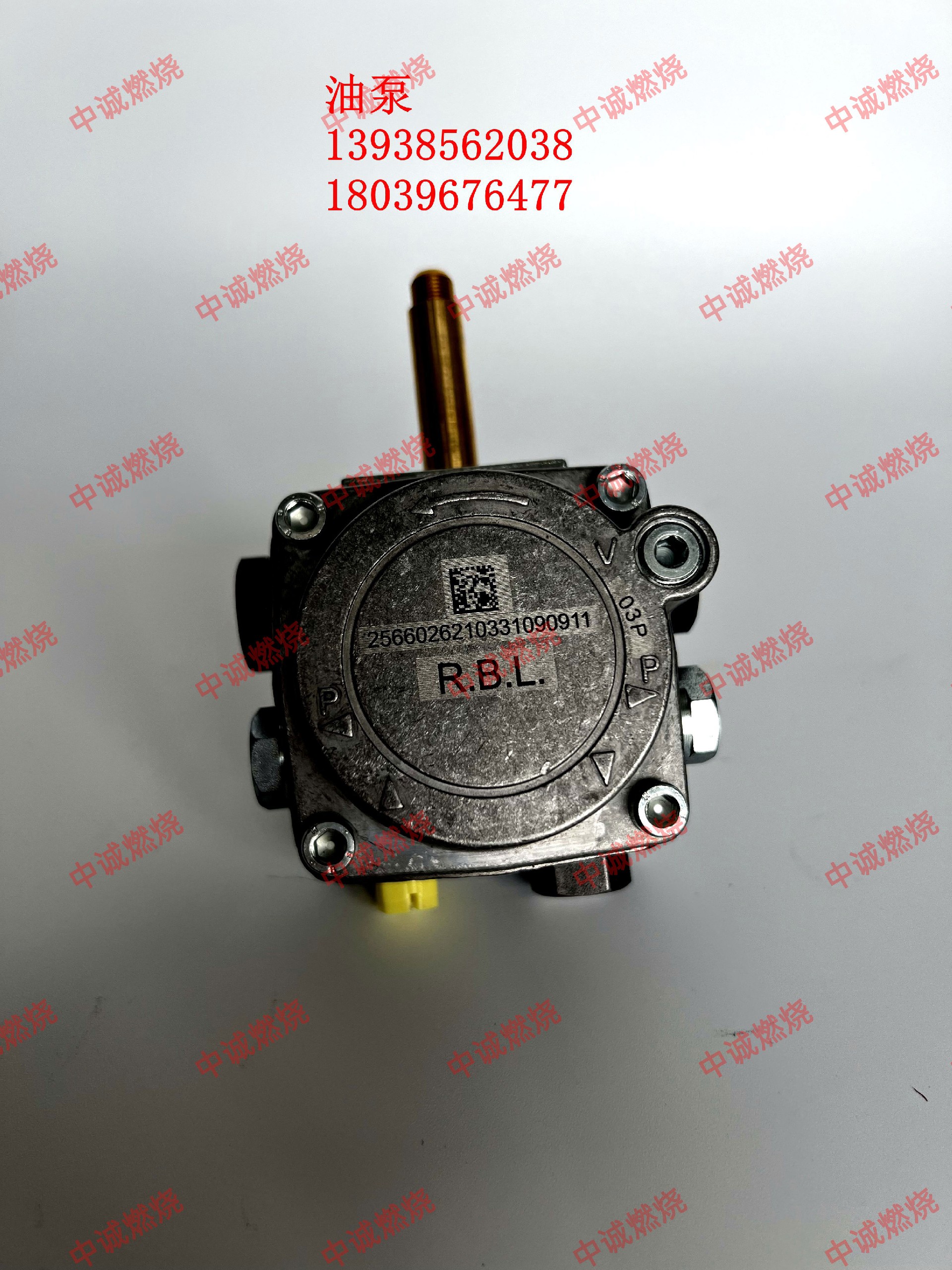 利雅路专用油泵RBL13213