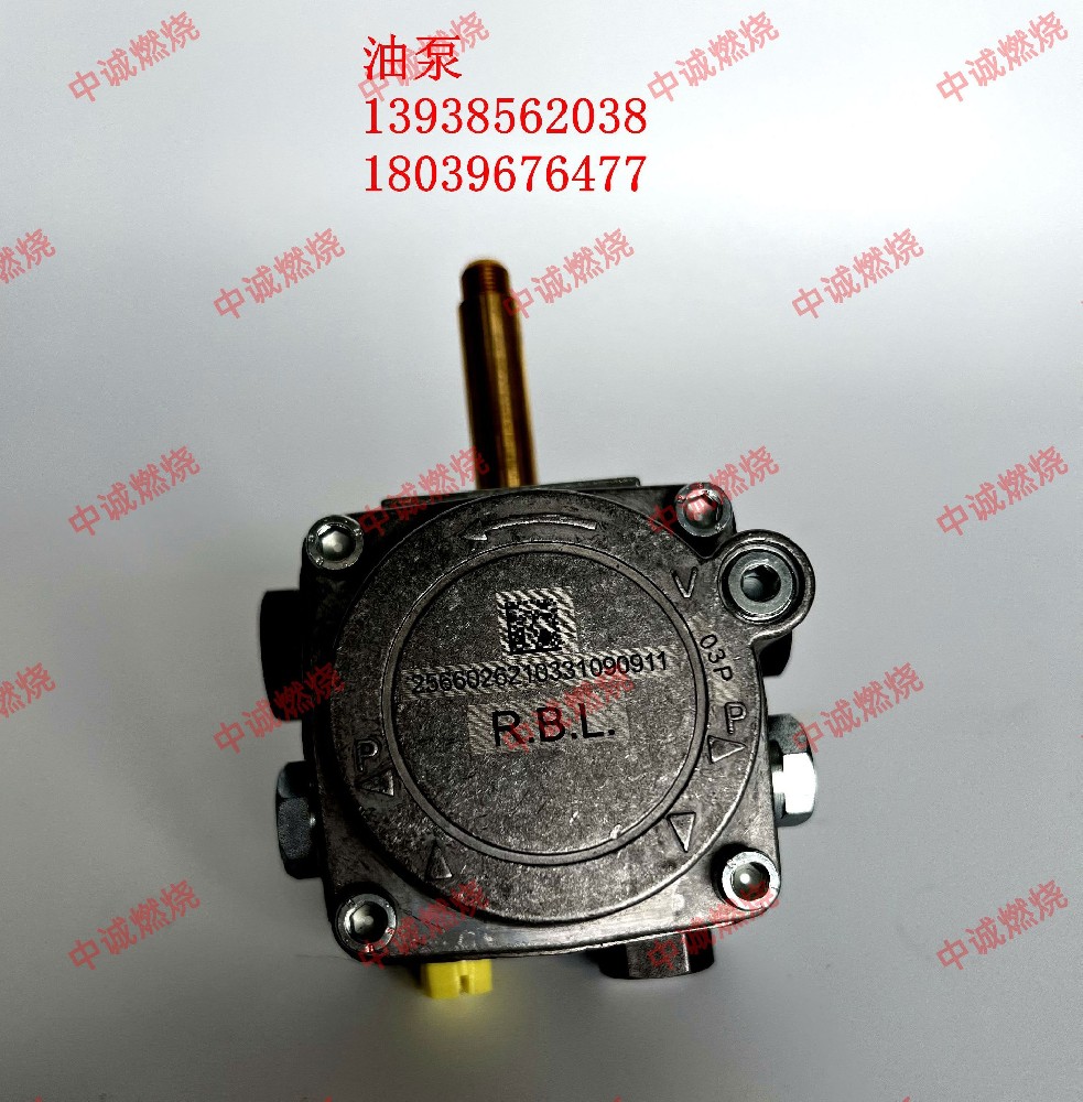 【配件】利雅路专用油泵RBL13213